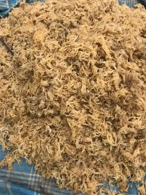 Dried Raw Seaweed