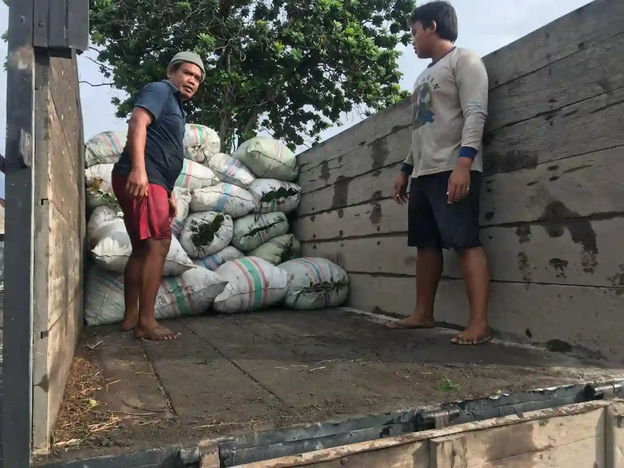 Packing Seaweed poster